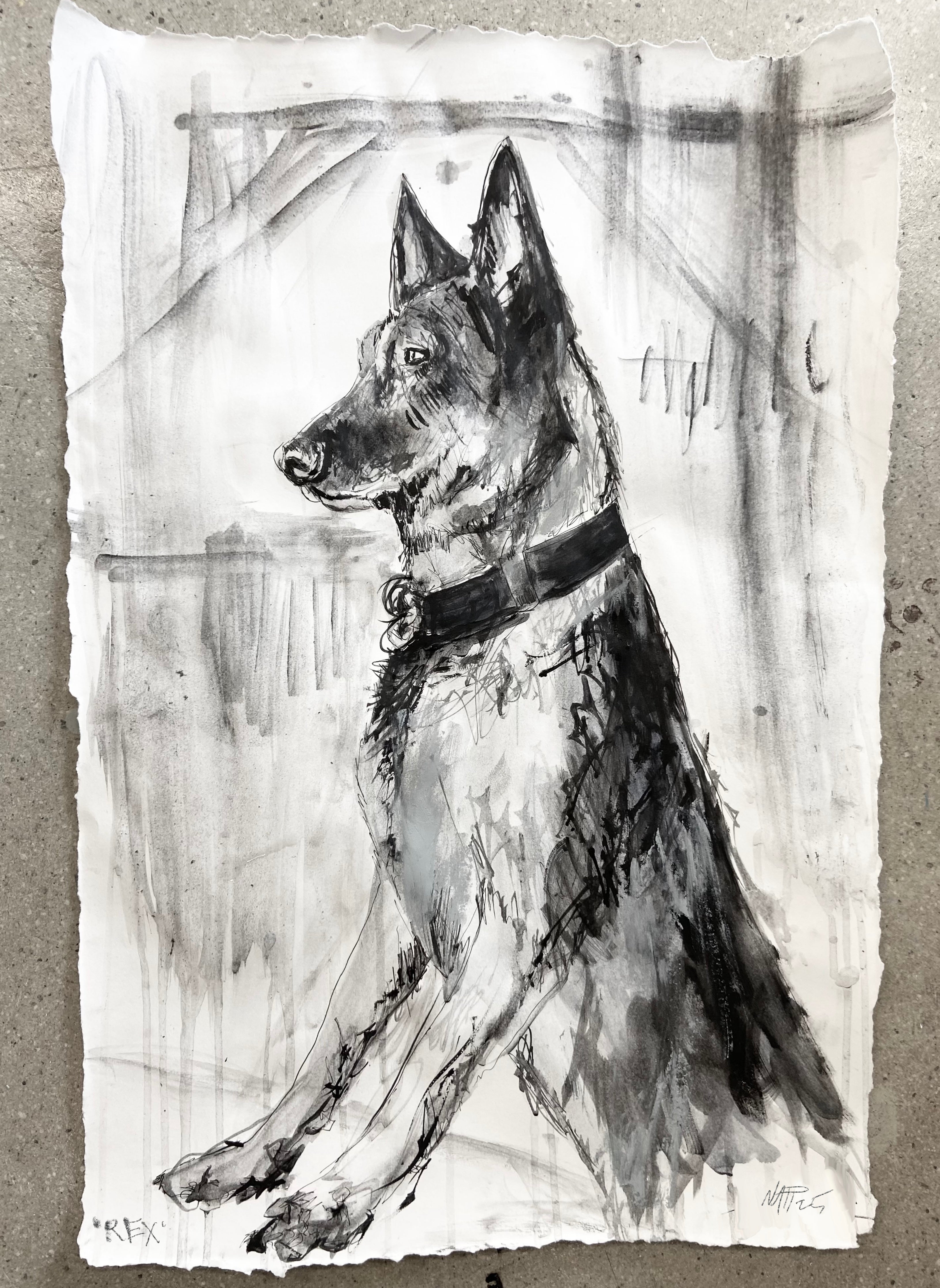 Large Monochrome Pet Portrait (22"x15")