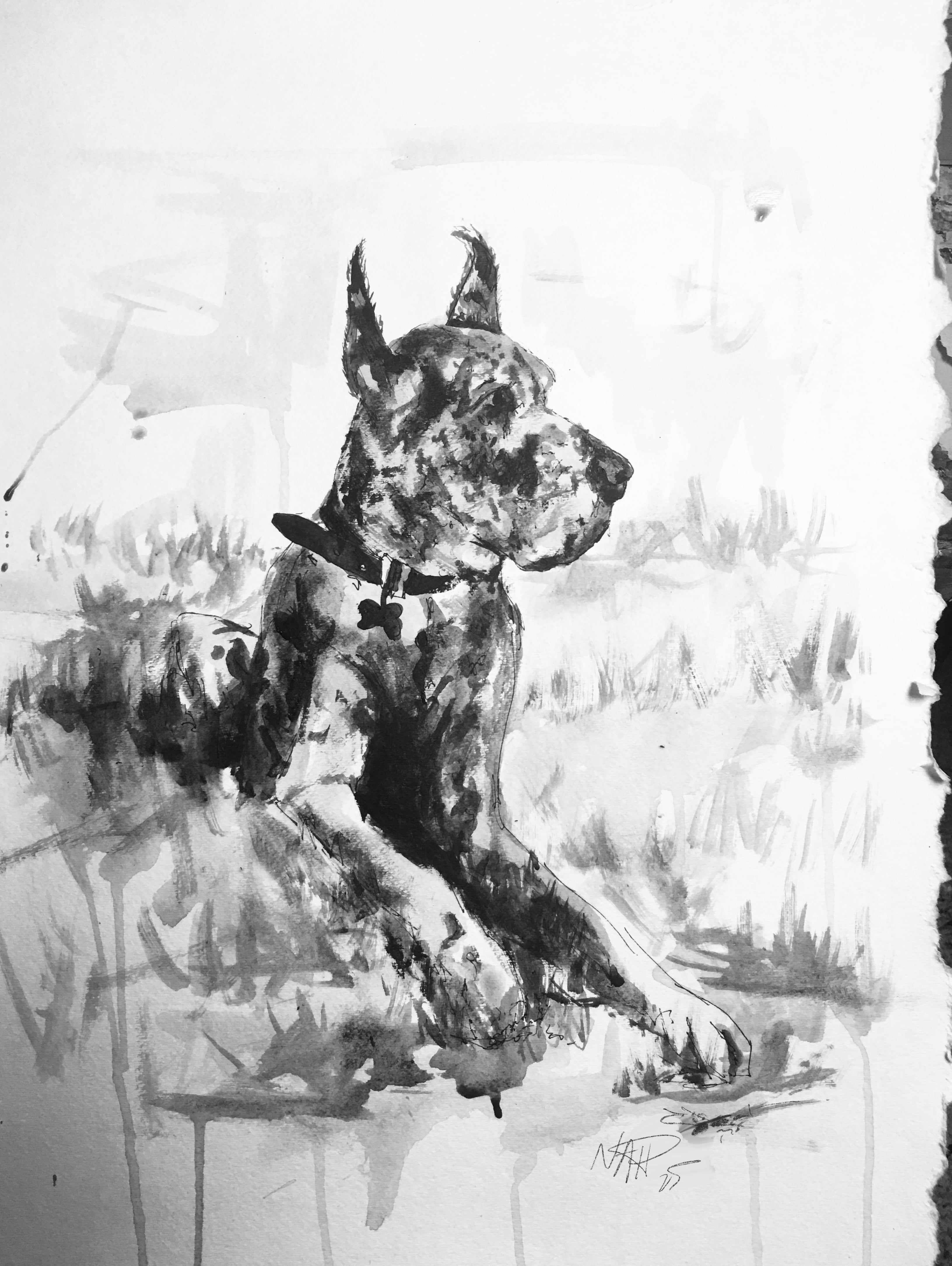 Medium Monochrome Pet Portrait (15"x11")